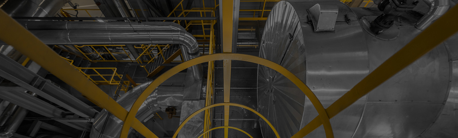 Work, Health & Safety